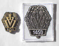 Picture of the pin and patch for 1450 Events