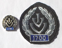 Picture of the pin and patch for 1700 Events