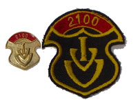 Picture of the pin and patch for 2100 Events