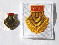 Picture of the pin for 700 Events