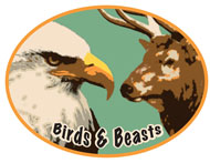 Picture of the Birds & Beasts Award