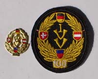 Picture of the pin and patch for 100 Events