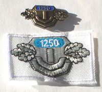 Picture of the pin and patch for 1,250 Events
