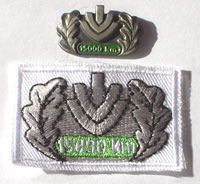 Picture of the pin and patch for 15,000 Kilometers