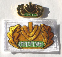 Picture of the pin and patch for 16,000 Kilometers