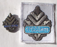 Picture of the pin and patch for 17,000 Kilometers
