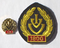 Picture of the pin and patch for 1,800 Events