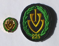 Picture of the pin and patch for 225 Events