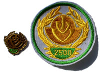 Picture of the pin and patch for 2500 Events
