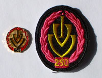 Picture of the pin and patch for 250 Events