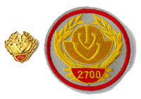 Picture of the pin and patch for 2700 Events
