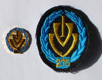 Picture of the pin and patch for 275 Events
