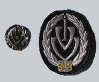 Picture of the pin and patch for 300 Events