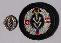 Picture of the pin and patch for 30 Events