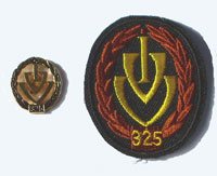 Picture of the pin and patch for 325 Events