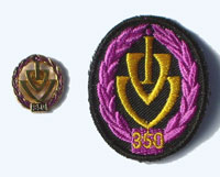 Picture of the pin and patch for 350 Events