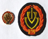 Picture of the pin and patch for 375 Events