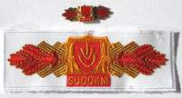 Picture of the pin and patch for 5,000 Kilometers