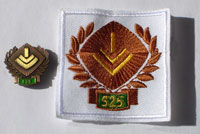 Picture of the pin and patch for 525 Events