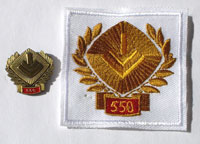 Picture of the pin and patch for 550 Events