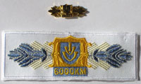 Picture of the pin and patch for 6,000 Kilometers