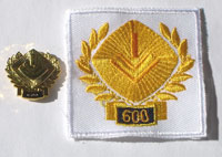 Picture of the pin and patch for 600 Events