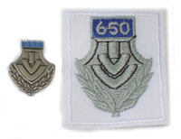 Picture of the pin and patch for 650 Events