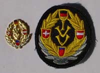 Picture of the pin and patch for 75 Events