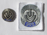 Picture of the pin and patch for 950 Events