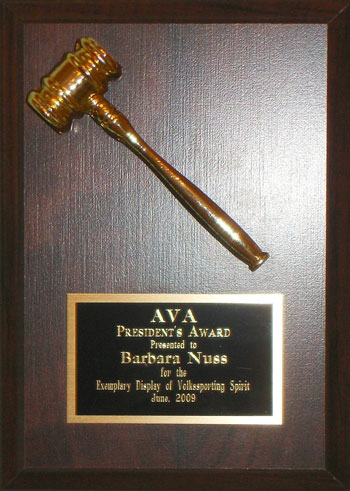 Picture of the President's Award Award